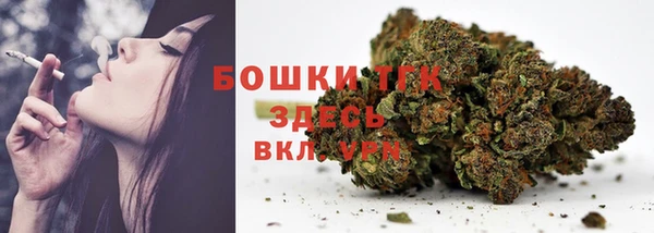 эйфоретик Арсеньев