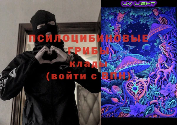 амф Аркадак