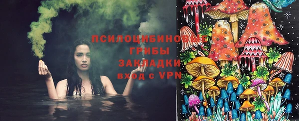 эйфоретик Арсеньев