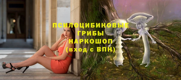 мдма Няндома